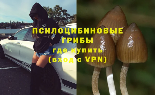 spice Балахна
