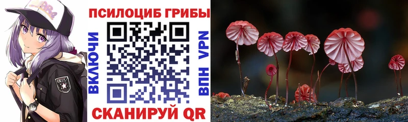 Псилоцибиновые грибы Psilocybine cubensis  Балей 